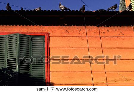 Birds on Roof of Painted Building La Boca Argentina View Large Photo Image Stock Photo - Birds on Roof of Painted Building La Boca Argentina. Fotosearch