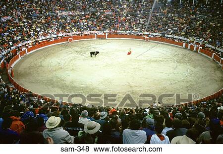 Bull and Bullfighter Plaza de Toros Bogota Colombia View Large Photo Image Stock Photo - Bull and Bullfighter Plaza de Toros Bogota Colombia. Fotosearch