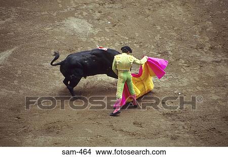 Bullfighter in Action Quito Ecuador View Large Photo Image Picture - Bullfighter in Action Quito Ecuador. Fotosearch