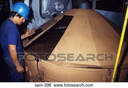 Coffee Factory Worker Examining Roasting Bin View Large Photo Image Stock Photograph - Coffee Factory Worker Examining Roasting Bin. Fotosearch