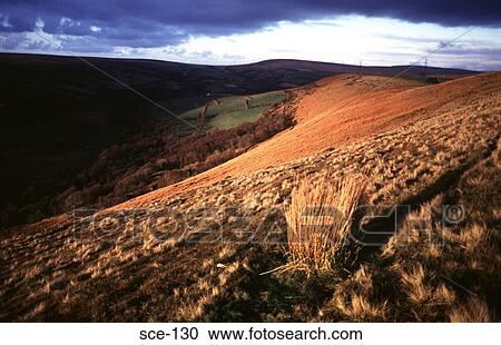 Dry Grassland on Hills UK View Large Photo Image Stock Image - Dry Grassland on Hills UK. Fotosearch