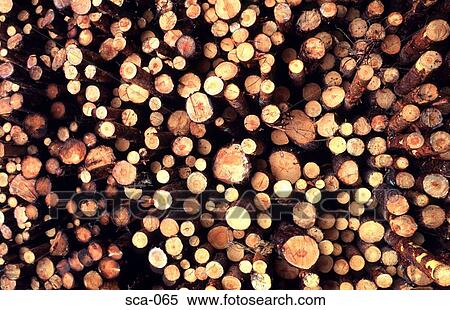 End On View of Pile of Logs Finland View Large Photo Image Stock Photography - End On View of Pile of Logs Finland. Fotosearch