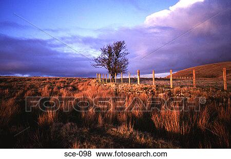 Stock Photo - Evening Sunlight on Moorland UK. Fotosearch