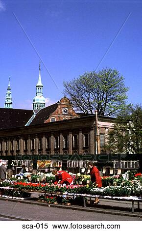 Flower Market Copenhagen Denmark View Large Photo Image Stock Photography - Flower Market Copenhagen Denmark. Fotosearch