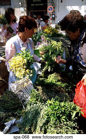 Flower Seller in Barcelona Spain View Large Photo Image Stock Photo - Flower Seller in Barcelona Spain. Fotosearch