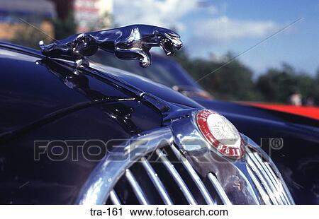 Front Grill And Emblem Of Old Black Jaguar Car Stock Image Tra