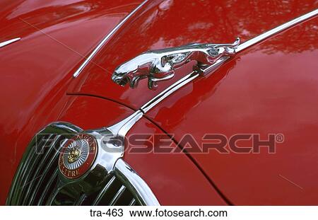 Front Grill and Symbol on Jaguar Mk. II View Large Photo Image Stock Image - Front Grill and Symbol on Jaguar Mk. II. Fotosearch