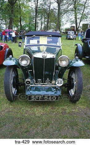 Front View of MG TA Vintage Sports Car View Large Photo Image Stock Photo - Front View of MG TA Vintage Sports Car. Fotosearch