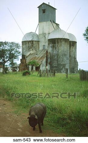 Grain Silo Encarnacion Paraguay View Large Photo Image Stock Image - Grain Silo Encarnacion Paraguay. Fotosearch