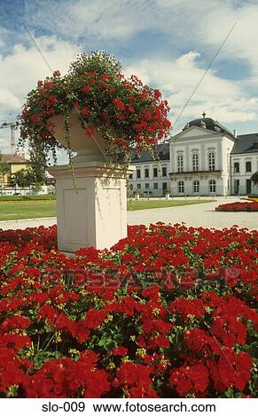 Stock Photo - Grassalkovich Palace Bratislava Slovakia. Fotosearch
