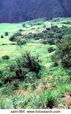 Green Farmland Merida Venezuela View Large Photo Image Picture - Green Farmland Merida Venezuela. Fotosearch