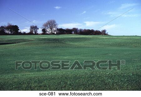 Green Fields and a Row of Trees Wales View Large Photo Image Stock Image - Green Fields and a Row of Trees Wales. Fotosearch