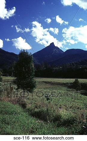 Green Fields and Distant Mountains Australia View Large Photo Image Stock Photograph - Green Fields and Distant Mountains Australia. Fotosearch