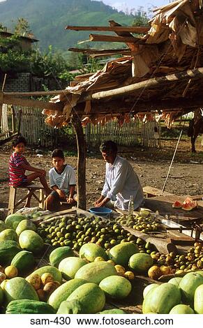 Green Grocers Market Stall Ecuador View Large Photo Image Stock Image - Green Grocers Market Stall Ecuador. Fotosearch