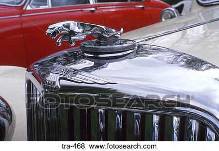 Grill and Emblem on Cream Jaguar Mk. IX View Large Photo Image Stock Photo - Grill and Emblem on Cream Jaguar Mk. IX. Fotosearch