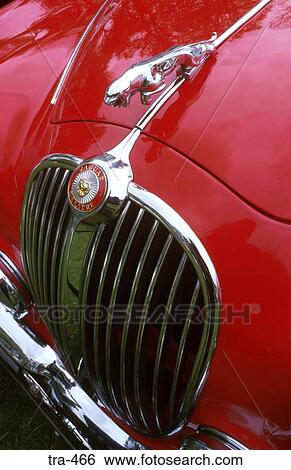 Grill and Emblem on Red Jaguar Mark II View Large Photo Image Stock Photograph - Grill and Emblem on Red Jaguar Mark II. Fotosearch
