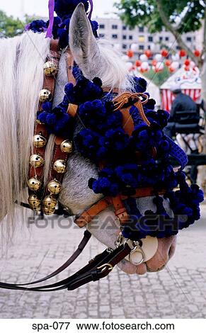 Horse at April Fair Seville Spain View Large Photo Image Stock Photo - Horse at April Fair Seville Spain. Fotosearch