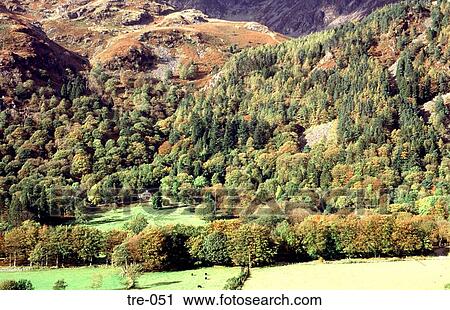 House in Wood Below Mountain Mynydd Pencoed Wales UK View Large Photo Image Stock Image - House in Wood Below Mountain Mynydd Pencoed Wales UK. Fotosearch