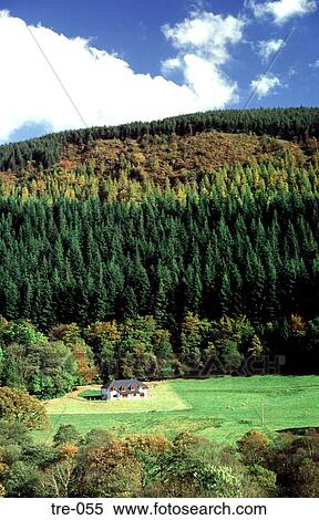House in Wood Below Plantation Wales UK View Large Photo Image Stock Photography - House in Wood Below Plantation Wales UK. Fotosearch