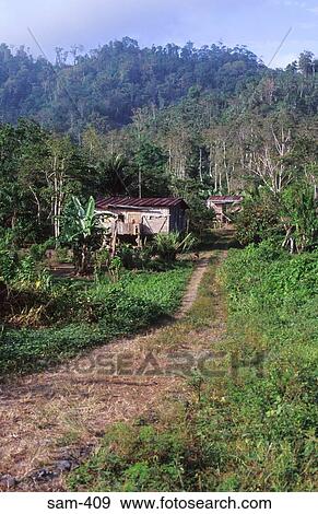 Huts in Rainforest Ecuador View Large Photo Image Stock Photo - Huts in Rainforest Ecuador. Fotosearch