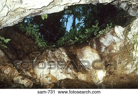 Stock Image - Limestone Cave Entrance Ecuador. Fotosearch