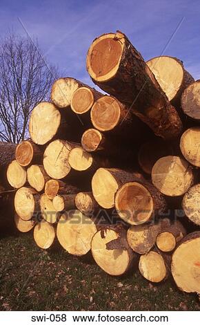 Log Pile Switzerland View Large Photo Image Stock Photo - Log Pile Switzerland. Fotosearch