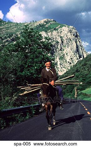 Stock Photography - Man Carrying Wood on a Donkey Spain. Fotosearch
