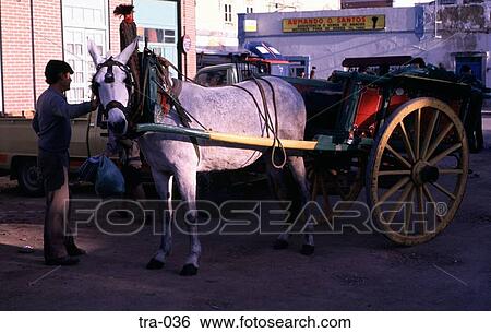 Man with Horse and Cart Portugal View Large Photo Image Stock Photograph - Man with Horse and Cart Portugal. Fotosearch