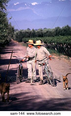 Mendoza Vineyard Workers Argentina View Large Photo Image Picture - Mendoza Vineyard Workers Argentina. Fotosearch