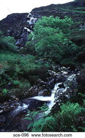 Mountain Stream in Scottish Highlands UK View Large Photo Image Stock Photograph - Mountain Stream in Scottish Highlands UK. Fotosearch