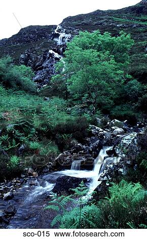 Mountain Stream in the Highlands of Scotland View Large Photo Image Stock Photography - Mountain Stream in the Highlands of Scotland. Fotosearch