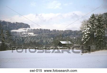 Mountain Valley Ruti Switzerland View Large Photo Image Stock Photography - Mountain Valley Ruti Switzerland. Fotosearch