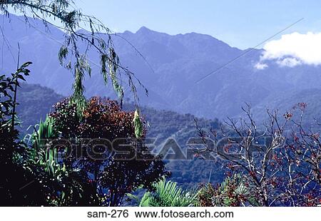 Stock Photograph - Mountainous Landscape Merida Venezuela. Fotosearch