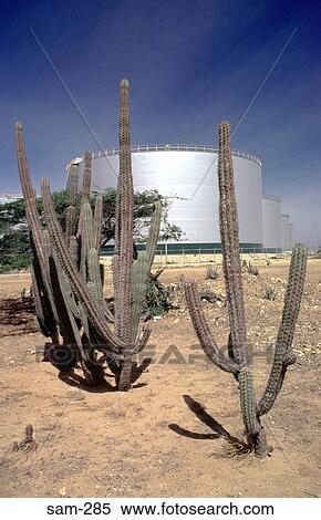 Oil Storage Tanks in the Desert Punto Fijo Venezuela View Large Photo Image Stock Photography - Oil Storage Tanks in the Desert Punto Fijo Venezuela. Fotosearch