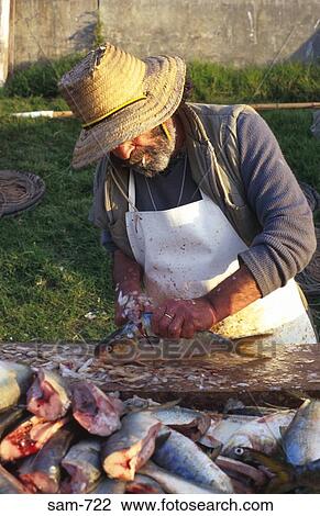 Old Man Filleting Fish Punta Del Este Uruguay View Large Photo Image Stock Image - Old Man Filleting Fish Punta Del Este Uruguay. Fotosearch