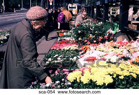 Picture - Old Woman at Flower Stall Copenhagen Denmark. Fotosearch