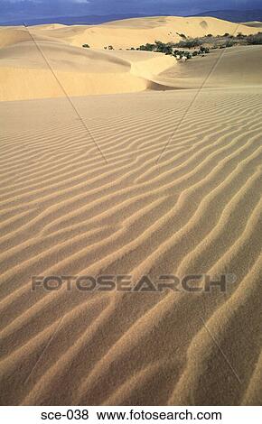 Patterned Desert Sands Coro Venezuela View Large Photo Image Stock Photo - Patterned Desert Sands Coro Venezuela. Fotosearch