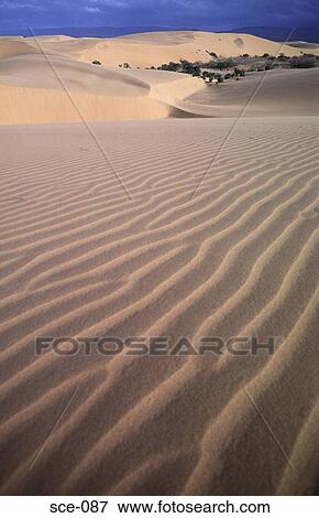 Patterns in Desert Sand Venezuela View Large Photo Image Stock Photo - Patterns in Desert Sand Venezuela. Fotosearch
