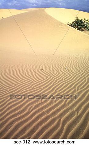Patterns in Desert Sands Coro Venezuela View Large Photo Image Stock Image - Patterns in Desert Sands Coro Venezuela. Fotosearch