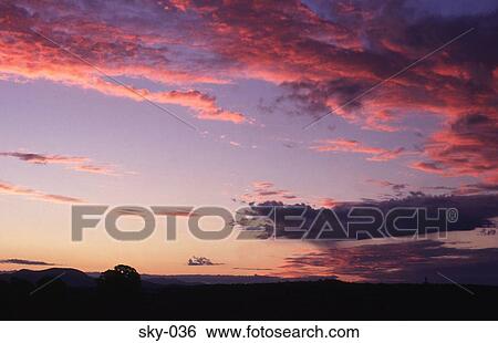 Pink Highlighted Cirrus Clouds in the Sky at Sunset View Large Photo Image Stock Photograph - Pink Highlighted Cirrus Clouds in the Sky at Sunset. Fotosearch