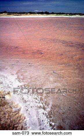 Pink Mineral Deposits in the Sea Paraguana Venezuela View Large Photo Image Stock Image - Pink Mineral Deposits in the Sea Paraguana Venezuela. Fotosearch
