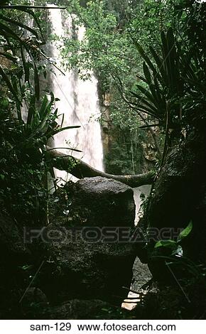 Rainforest and Waterfall Iguazu Argentina View Large Photo Image Stock Photo - Rainforest and Waterfall Iguazu Argentina. Fotosearch