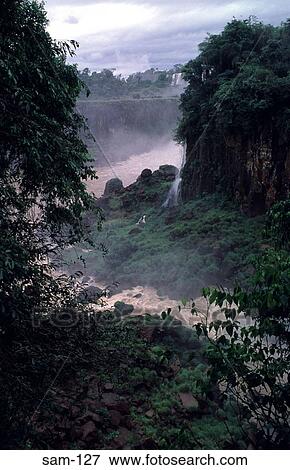Rainforest at Iguazu Falls Argentina View Large Photo Image Stock Photo - Rainforest at Iguazu Falls Argentina. Fotosearch