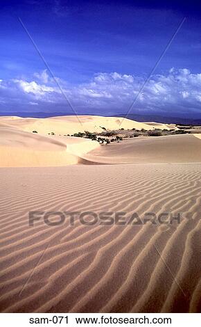 Rippled Desert Sand Coro Venezuela View Large Photo Image Stock Image - Rippled Desert Sand Coro Venezuela. Fotosearch