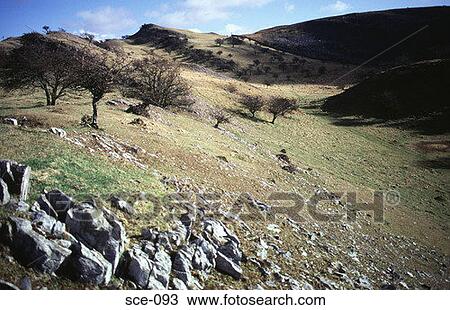 Rock Outcrop and Moorland UK View Large Photo Image Stock Image - Rock Outcrop and Moorland UK. Fotosearch