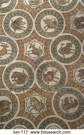 Roman Mosaic Bardo Museum Tunis Tunisia View Large Photo Image Stock Photo - Roman Mosaic Bardo Museum Tunis Tunisia. Fotosearch