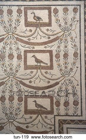 Roman Mosaic Bardo Museum Tunis Tunisia View Large Photo Image Stock Photo - Roman Mosaic Bardo Museum Tunis Tunisia. Fotosearch