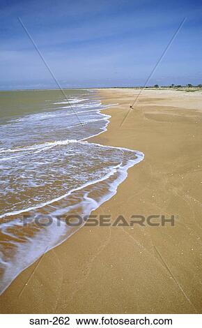 Sandy Beach Peninsula de Paraguana Venezuela View Large Photo Image Stock Image - Sandy Beach Peninsula de Paraguana Venezuela. Fotosearch