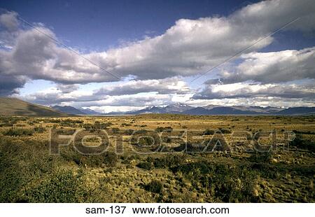 Scrub Patagonia Argentina View Large Photo Image Stock Photo - Scrub Patagonia Argentina. Fotosearch
