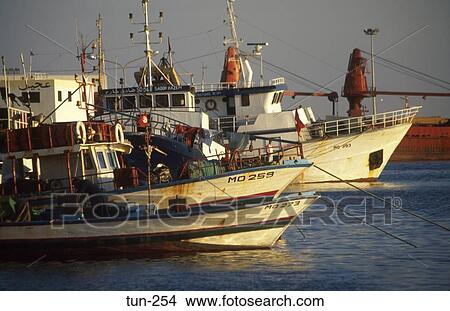 Ships at Sousse Tunisia View Large Photo Image Picture - Ships at Sousse Tunisia. Fotosearch